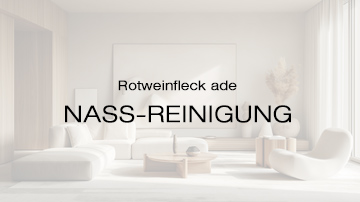 nass-reinigen-hyla Video - Hyla Staubsauger, Raumreinigung, Luftreinigung